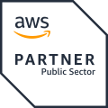 Public Sector