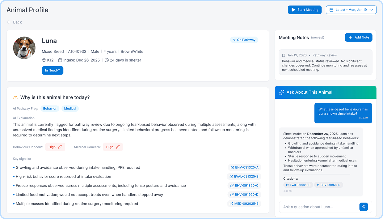 Amorphic-Insights-for-Animal-Services--banner-xs
