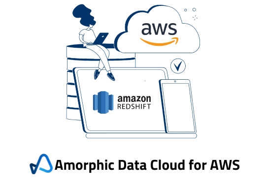 Amorphic SaaS Data Cloud for AWS (8)